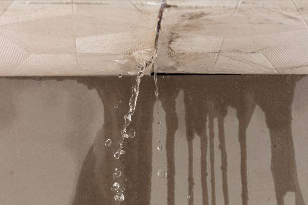 Professional Water Damage Restoration technician working in Elk River, MN